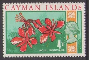 Colnect-1399-678-Royal-Poinciana.jpg