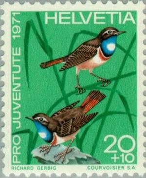 Colnect-140-448-Bluethroat-Luscinia-svevica.jpg