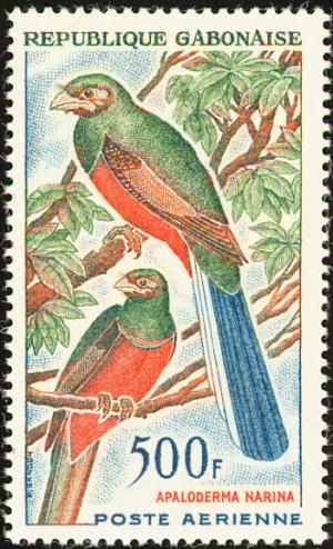 Colnect-1502-620-Narina-Trogon-Apaloderma-narina.jpg