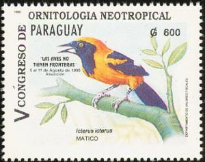 Colnect-1724-447-Orange-backed-Troupial-nbsp-Icterus-croconotus.jpg