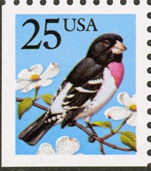 Colnect-1789-473-Rose-breasted-Grosbeak-Pheucticus-ludovicianus.jpg