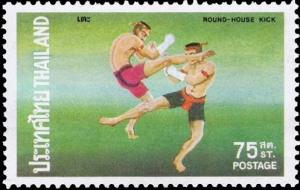 Colnect-2236-020-Round-house-kick.jpg