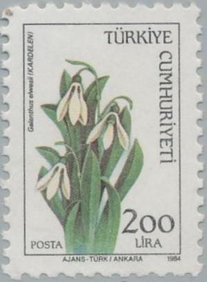 Colnect-2596-097-Snowdrop-Galanthus-Elwesii.jpg