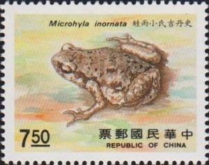 Colnect-3041-563-Inornate-Froglet-Micryletta-inornata.jpg