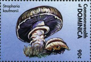 Colnect-3051-345-Stropharia-kaufmanii.jpg