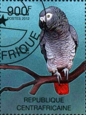 Colnect-3075-324-Grey-Parrot-Psittacus-erithacus.jpg