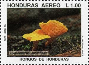 Colnect-3106-853-Hygrophorus-aurantiaca.jpg