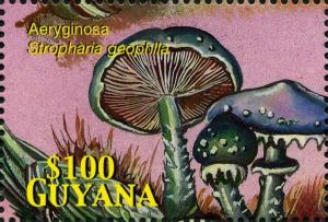 Colnect-3134-298-Stropharia-geophila.jpg