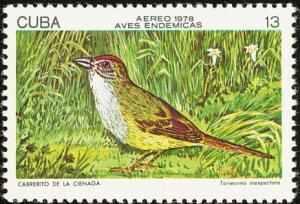 Colnect-3563-224-Cuban-Sparrow-Torreornis-inexpectata.jpg