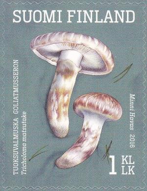 Colnect-3682-675-Pine-mushroom-Tricholoma-matsutake.jpg