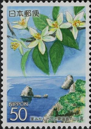 Colnect-3994-337-Blossoms-of-Chinese-Citron--amp--%C5%8Cmi-Island---Yamaguchi-Pref.jpg