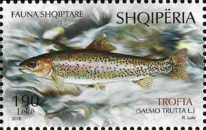 Colnect-5472-151-Brown-Trout-Salmo-trutta-fario.jpg