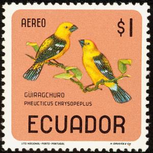 Colnect-734-539-Southern-Yellow-Grosbeak-Pheucticus-chrysogaster.jpg