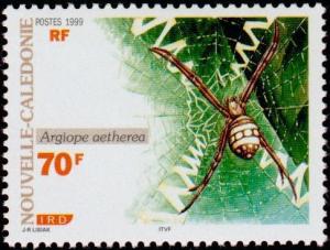 Colnect-857-156-St-Andrew--s-Cross-Spider-Argiope-aetherea.jpg