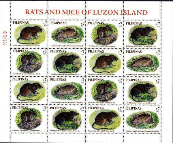 Colnect-2874-550-Rats-and-Mice-from-Luzon-Island---MiNo-4034-37.jpg