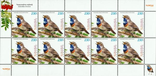 Colnect-5023-322-Bluethroat-Luscinia-svecica.jpg