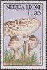 Colnect-1496-903-Macrolepiota-rhacodes.jpg