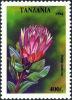 Colnect-4311-972-Protea-lacticolor.jpg