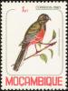 Colnect-893-076-Narina-Trogon-Apaloderma-narina.jpg