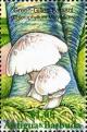 Colnect-2031-903-Chlorophyllum-molybdites.jpg