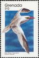 Colnect-2172-422-Red-billed-Tropicbird-Phaethon-aethereus.jpg