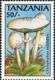 Colnect-3229-083-Chlorophyllum-molybdites.jpg