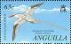 Colnect-3410-832-Red-billed-Tropicbird-Phaethon-aethereus.jpg