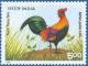 Colnect-554-196-Gallic-Rooster-Gallus-gallus.jpg