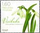 Colnect-6335-342-Snowdrop-Galanthus-nivalis.jpg