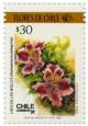 Colnect-661-832-Alstroemeria-pelegrina.jpg