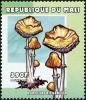 Colnect-2606-971-Agrocybe-elegantior.jpg