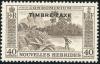 Colnect-2385-510-Overprint-TIMBRE-TAXE.jpg