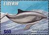 Colnect-7374-166-Harbor-Porpoise-Phocoena-phocoena.jpg