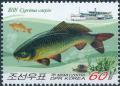 Colnect-3327-682-Carp-Cyprinus-carpio.jpg