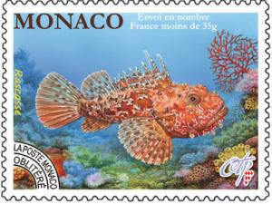 Colnect-2771-134-Red-Scorpionfish-Scorpaena-sp.jpg