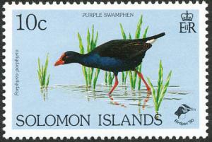 Purple-Swamphen-Porphyrio-porphyrio.jpg