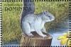 Colnect-3228-514-Gray-Squirrel-Sciurus-carolinensis.jpg