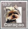 Colnect-3523-436-Yorkshire-Terrier-Canis-lupus-familiaris.jpg