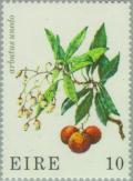 Colnect-128-544-Strawberry-Tree-Arbutus-unedo.jpg