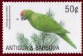 Colnect-1462-740-Thick-billed-Parrot-Rhynchopsitta-pachyrhyncha.jpg