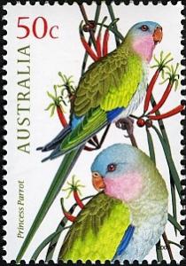 Colnect-471-220-Princess-Parrot-Polytelis-alexandrae.jpg