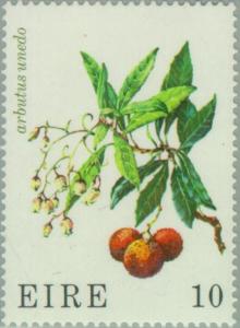 Colnect-128-544-Strawberry-Tree-Arbutus-unedo.jpg