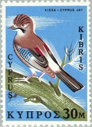 Colnect-171-839-Cyprus-Jay-Garrulus-glandarius-glaszneri.jpg