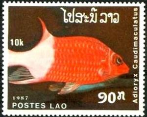 Colnect-1990-615-Silverspot-Squirrelfish-Adioryx-caudimaculatus.jpg