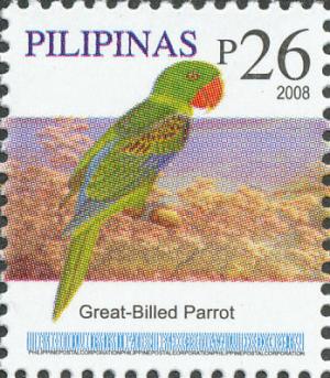 Colnect-2858-633-Great-billed-Parrot-Tanygnathus-megalorynchos.jpg