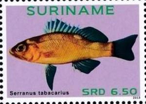 Colnect-4090-034-Serranus-tabacarius.jpg