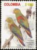 Colnect-2694-634-Fuertes--s-Parrot-Hapalopsittaca-fuertesi.jpg