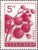 Colnect-3185-107-Strawberries-Fragaria-ananassa.jpg