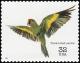 Colnect-5106-700-Thick-billed-Parrot-Rhynchopsitta-pachyrhyncha.jpg