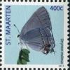 Colnect-2628-552-Gray-Hairstreak-Strymon-melinus.jpg